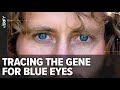 All blue-eyed people come from a shared common ancestor