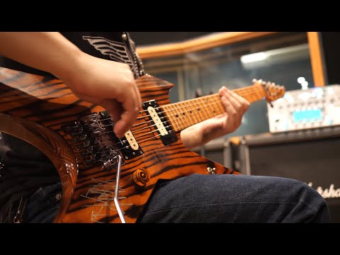 OEOEO / LOUDNESS Guitar Cover