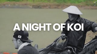 High Quality Koi Auction - Simulcast Feed
