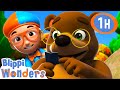 Blippi Learns About The Seasons With A Bear 1 HOUR OF BLIPPI WONDERS