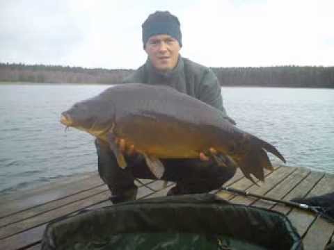 Tuszynek marcowy karp - Carp Team Trójmiasto