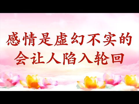 4.  【节目录音+字幕】感情是虚幻不实的 会让人陷入轮回