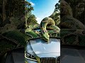 Giant Anaconda Wraps Around Car On Highway Realistic 4K Nature Video