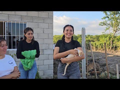 Joselin rescato de la calle a este gatito y ahora es su fiel amigo.
