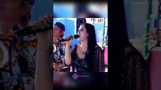 Download lagu TERMINAL MADIUN NGAWI // CANDRA ARLIN #live #livestream #livestreaming #dangdut #koplo #pernikahan mp3
