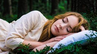 3 Hour Deep Sleep Relaxation with Cosy Bear | No Midroll Ads
