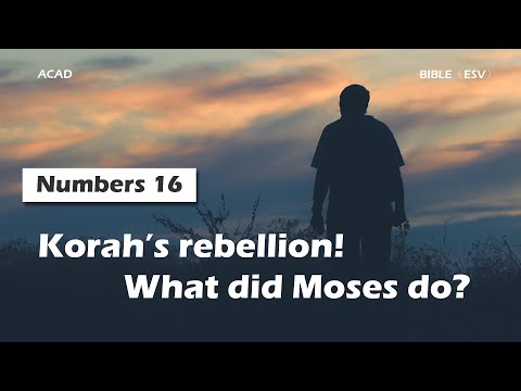【Numbers 16】Korah’s rebellion! What did Moses do? ｜ACAD Bible Reading