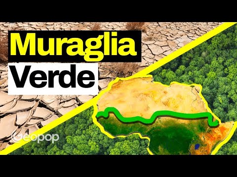 An 8,000-kilometer wall in Africa to halt the advance of the desert: the Great Green Wall.