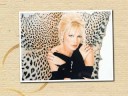 Ajda Pekkan - Hepimiz Yaptik *YENI 2008*