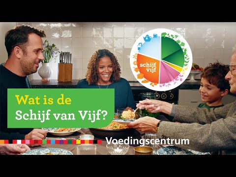Wat is de Schijf van Vijf?