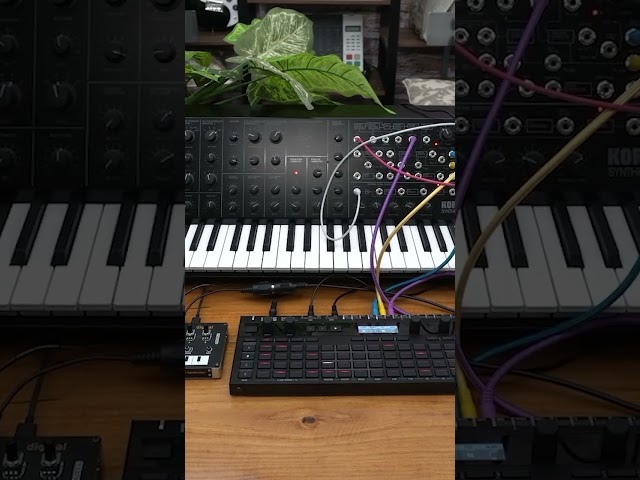 Vídeo relacionado con Korg MS20-MINI - Ms-20 mini sintetizador monofonico analogico