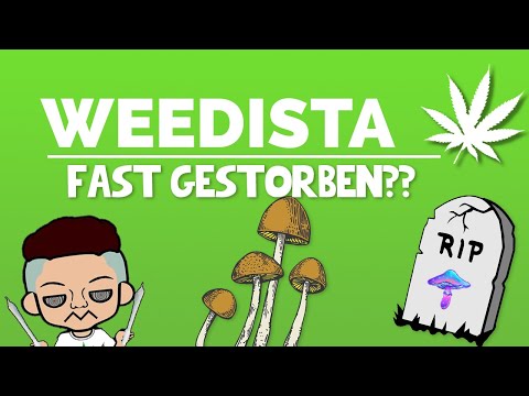 Erstes Mal ZAUBERPILZE✨🍄 | Erfahrungsbericht | Weedista