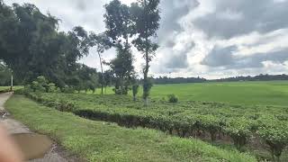  Agricultural Land for Sale in Barapatina Nutanbus, Jalpaiguri