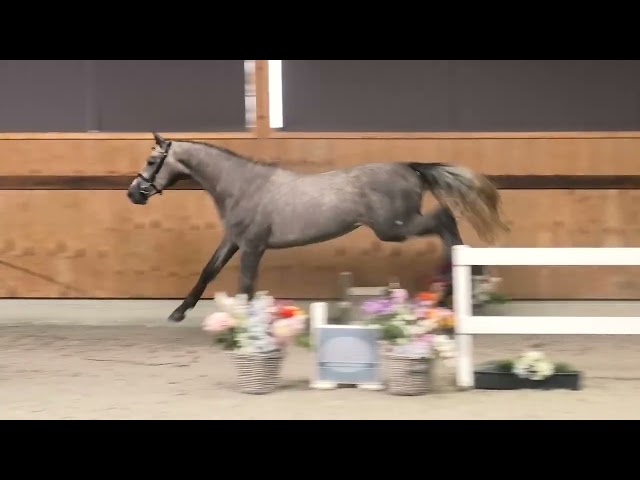 jumping