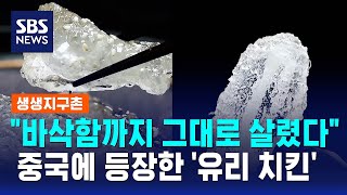 "바삭함까지 그대로 살렸다"..중국에 등장한 '유리 치킨' / SBS / 생생지구촌