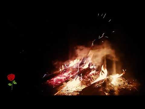 Phir se shuru - Ashu shukla  [A song on re-initiation of love]