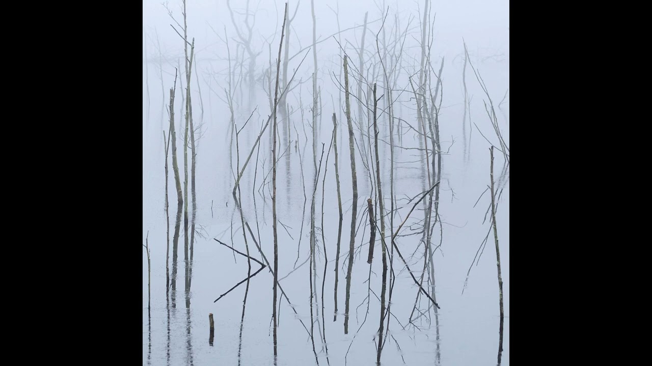 Olhava — Frozen Bloom (full album, 2021)