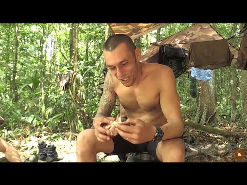 , title : 'Légion étrangère : Un mois de formation intensive en Amazonie