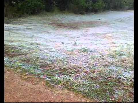 PRIMEIRA GEADA DO JUNINHO DIA 28/06/2011 LONDRINA PR