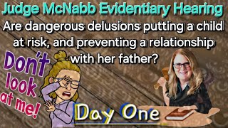 Day One - Judge McNabb - Crazy Custody and Divorce Trial