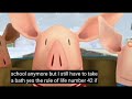 Rule Of Life From Olivia Plays Hotel