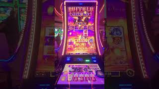 Big Win on Buffalo Ascension Slot Machine