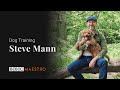 Introducing: Dog Training with Steve Mann – BBC Maestro