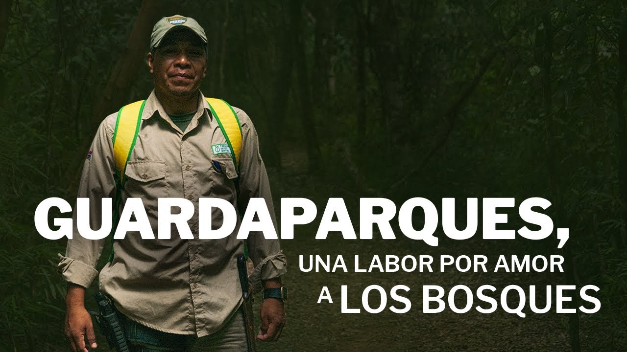 youtube video id=m4aXh2fUcyI