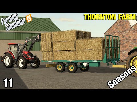 SELLING STRAW AND BUYING MORE COWS Thornton Farm Timelapse - FS19 Ep 11