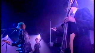 The Auteurs &quot;Light aircraft on fire&quot;