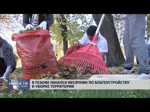 02.10.2019 / В Пскове начался месячник по благоустройству и уборке территории