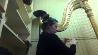 Flying With Mother- Harp Cover
