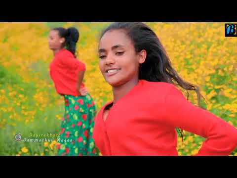 Haftaamuu Haayiluu-Daalacha Soorii-New Oromo music2002