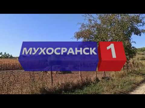Рекламные заставки Мухосранск-1 со старым логотипом (01.04-01.05.2022, иногда)