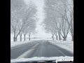 Winter Wonderland