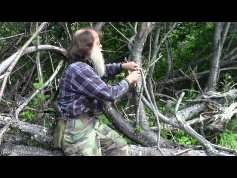 Make A Wilderness Willow Whistle