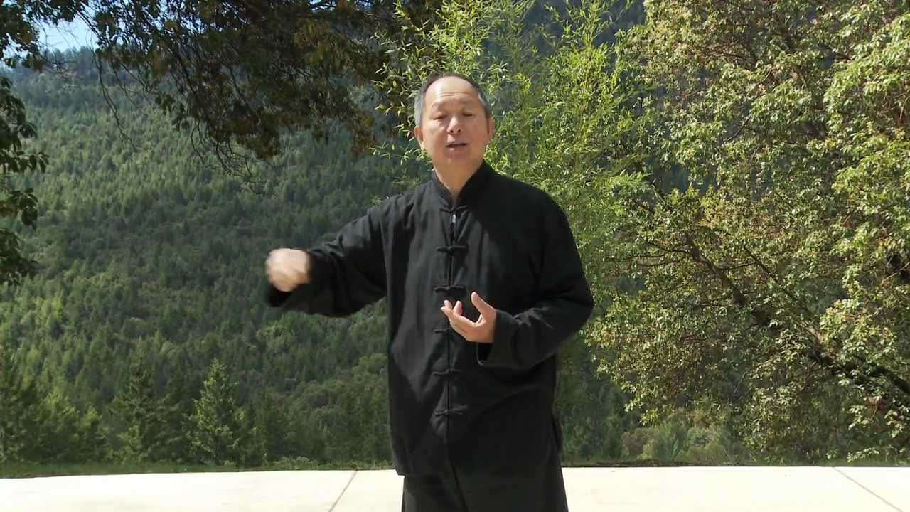Yang Tai Chi for Beginners Trailer