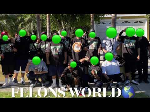 EVERGREEN LOCOTES SANTA ANA