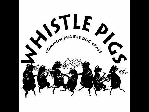 SMOKE FROM A DISTANT FIRE by THE WHISTLE PIGS in SOUTH BEND 2012