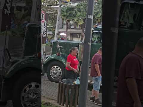 Praça da Espanha.  Curitiba, Paraná. 🌴🌳🌲🌵🤣🥶