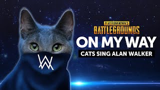 Kucing Nyanyi Lagu On My Way Alan Walker