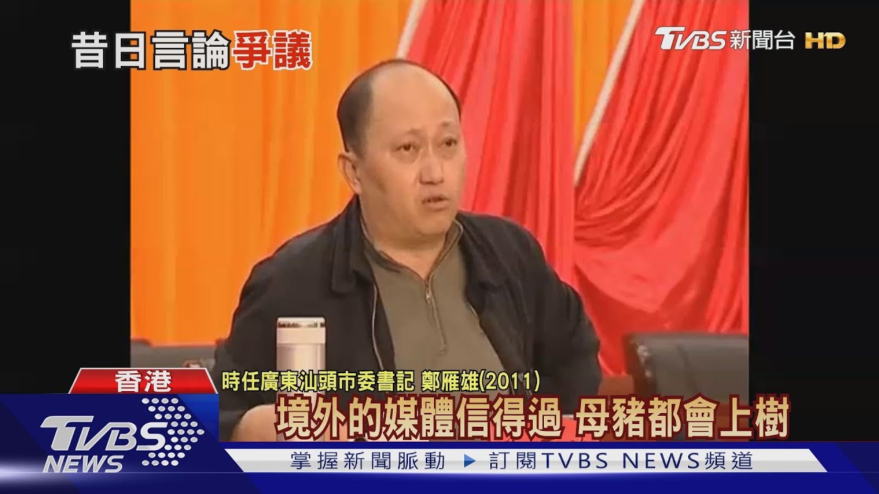 「外媒信得過、母豬上樹」 港國安署長昔驚句