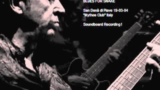 ANDY SUMMERS - Blues for Snake (San Donà di Piave 19-03-04 "Mythos Club" Italy (audio)