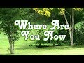 Where Are You Now Jimmy Harnen KARAOKE VERSION