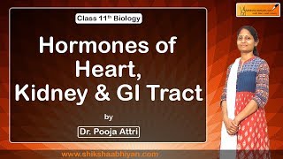 Chemical Coordination and Integration(Hormones of Heart, Kidney & GI Tract)-#CBSE Class 11 Biology