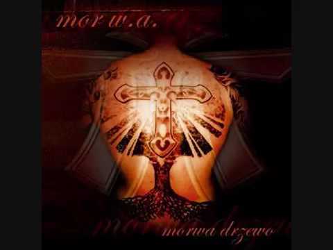 Mor WA widzę świat