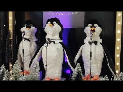 Pinguine singen