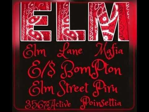 Piru Anthem Ft. Moneymakxnjr