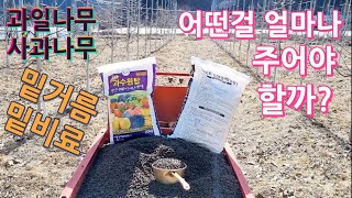 과일나무 사과나무 밑거름 밑비료 무엇을 얼마나 주어야 할까?