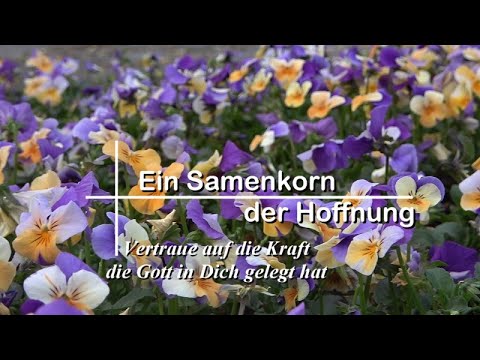 Ein Samenkorn der Hoffnung